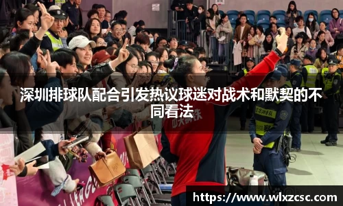 深圳排球队配合引发热议球迷对战术和默契的不同看法